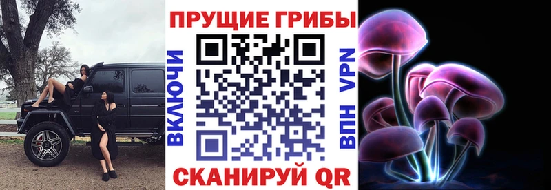 сколько стоит  Игарка  Галлюциногенные грибы мухоморы 